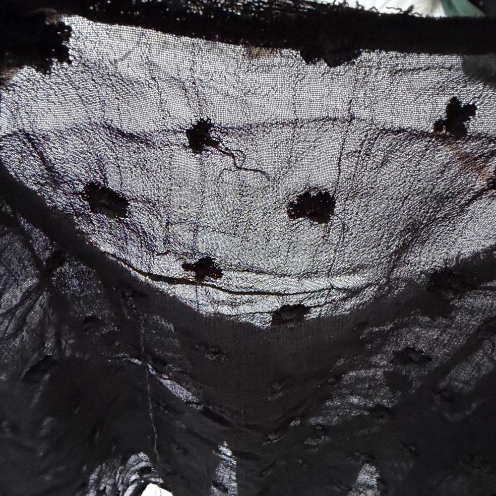 Unbranded Sheer‎ Black Embroidered Lace Cropped Cardigan Button Front Top Small - Picture 8 of 8